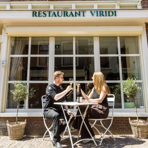 Viridi.SvdW.260715-9629
